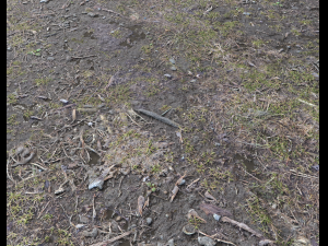 forest ground pbr pack 6 CG 텍스쳐