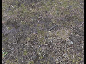 forest ground pbr pack 6 CG 텍스쳐