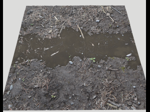 forest ground pbr pack 6 CG 텍스쳐