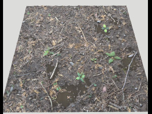 forest ground pbr pack 6 CG 텍스쳐