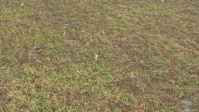 forest ground pbr pack 8 CG Текстуры .c4d .max .obj .3ds .fbx .stl .blend 