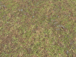 forest ground pbr pack 8 CG Текстуры