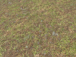 forest ground pbr pack 8 CG Текстуры