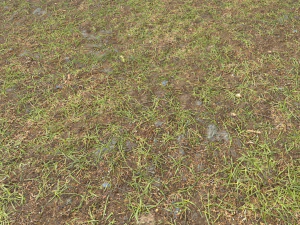 forest ground pbr pack 8 CG Textures
