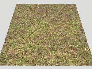 forest ground pbr pack 8 CG Textures