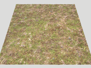 forest ground pbr pack 8 CG Текстуры