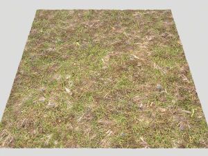 forest ground pbr pack 8 CG Textures