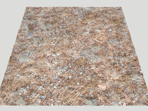 forest ground pbr pack 8 CG Текстуры