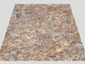 forest ground pbr pack 8 CG Textures