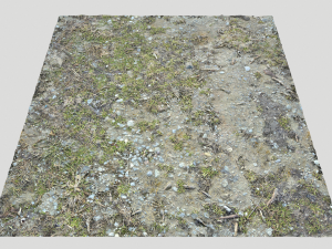 forest ground pbr pack 8 CG Текстуры