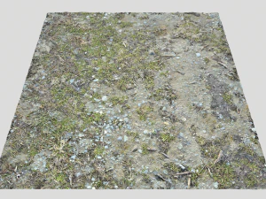 forest ground pbr pack 8 CG Textures