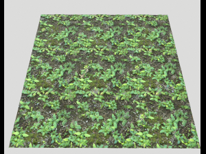 forest ground pbr pack 9 CG Textures
