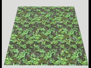 forest ground pbr pack 9 CG Textures