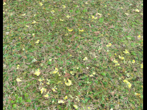 forest ground pbr pack 9 CG Textures