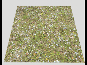 forest ground pbr pack 9 CG Textures