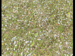 forest ground pbr pack 9 CG Textures