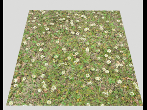 forest ground pbr pack 9 CG Textures