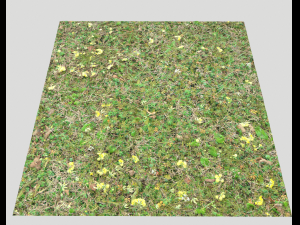 forest ground pbr pack 9 CG Textures