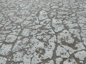 old concrete floor textures pbr pack 2 CG Текстури