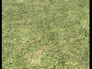 ground terrain grass pbr pack 6 CG Textures