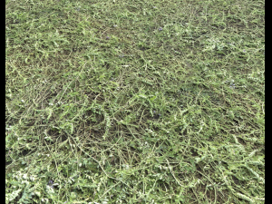ground terrain grass pbr pack 6 CG Textures