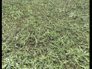 ground terrain grass pbr pack 6 CG Textures