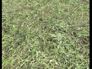 ground terrain grass pbr pack 6 CG Textures