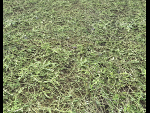 ground terrain grass pbr pack 6 CG Textures