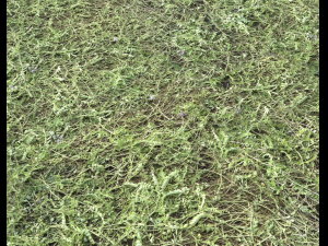 ground terrain grass pbr pack 6 CG Textures