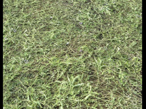 ground terrain grass pbr pack 6 CG Textures