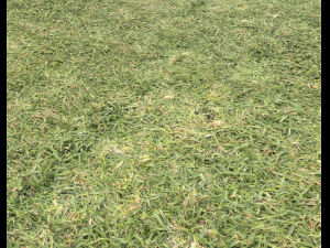 ground terrain grass pbr pack 6 CG Textures