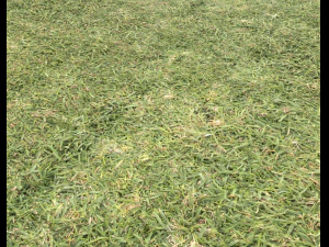 ground terrain grass pbr pack 6 CG Textures