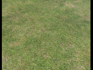 ground terrain grass pbr pack 6 CG Textures