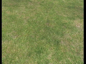 ground terrain grass pbr pack 6 CG Textures