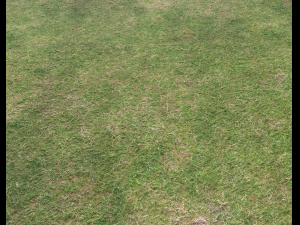 ground terrain grass pbr pack 6 CG Textures