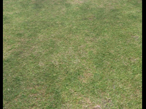 ground terrain grass pbr pack 6 CG Textures