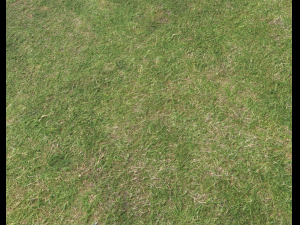 ground terrain grass pbr pack 6 CG Textures