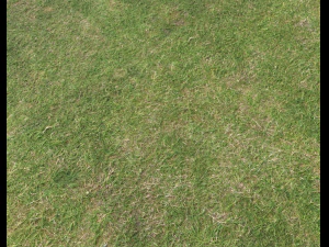 ground terrain grass pbr pack 6 CG Textures