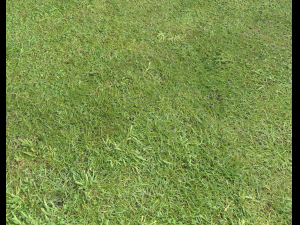 ground terrain grass pbr pack 6 CG Textures