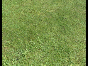 ground terrain grass pbr pack 6 CG Textures