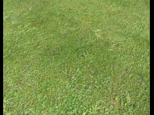 ground terrain grass pbr pack 6 CG Textures