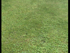 ground terrain grass pbr pack 6 CG Textures