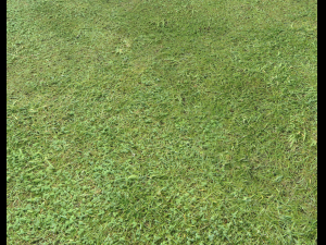 ground terrain grass pbr pack 6 CG Textures
