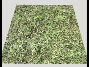 ground terrain grass pbr pack 6 CG Textures