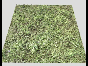 ground terrain grass pbr pack 6 CG Textures
