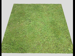 ground terrain grass pbr pack 6 CG Textures