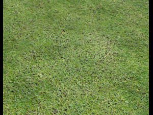 ground terrain grass pbr pack 7 Texturas CG