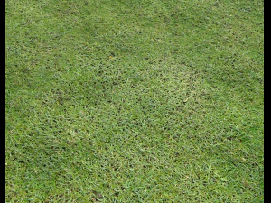 ground terrain grass pbr pack 7 CG Textures