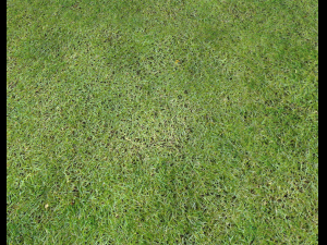 ground terrain grass pbr pack 7 Texturas CG