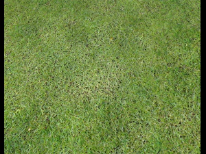 ground terrain grass pbr pack 7 CG Textures